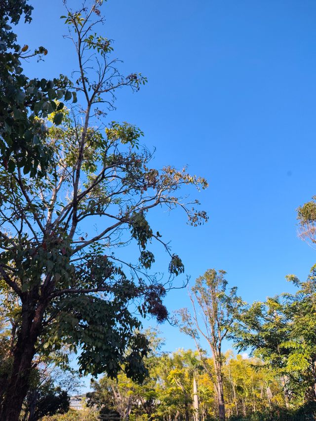 闖入普洱秘境被這片鋪天蓋地的藍治癒了 闖入普洱秘境被這片鋪天蓋地的藍治癒了