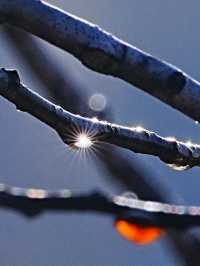 額爾古納河絕美秋景自駕攻略油畫般的金色童話世界