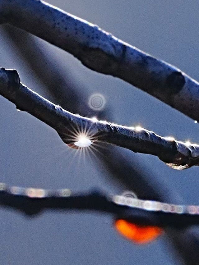 額爾古納河絕美秋景自駕攻略油畫般的金色童話世界 額爾古納河絕美秋景自駕攻略油畫般的金色童話世界