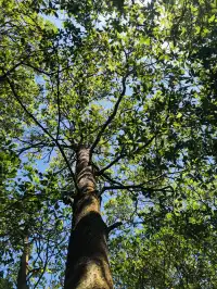 每週一山｜藏在江門的治癒系神山！