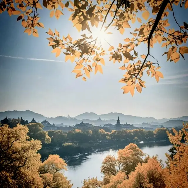 Autumn in Yangzhou is legendary! This touch of Jiangnan charm can no longer be hidden