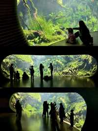 不愧是上海公園美到「未來感」拉滿