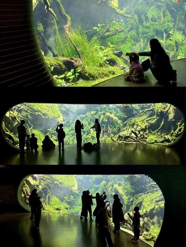 不愧是上海公園美到「未來感」拉滿 不愧是上海公園美到「未來感」拉滿