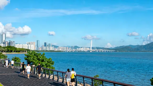 Perfect 5-Day Shenzhen Travel Guide