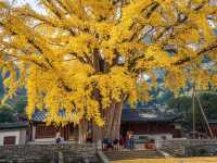 3天玩轉王屋山秘境