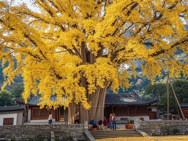 3天玩轉王屋山秘境 3天玩轉王屋山秘境