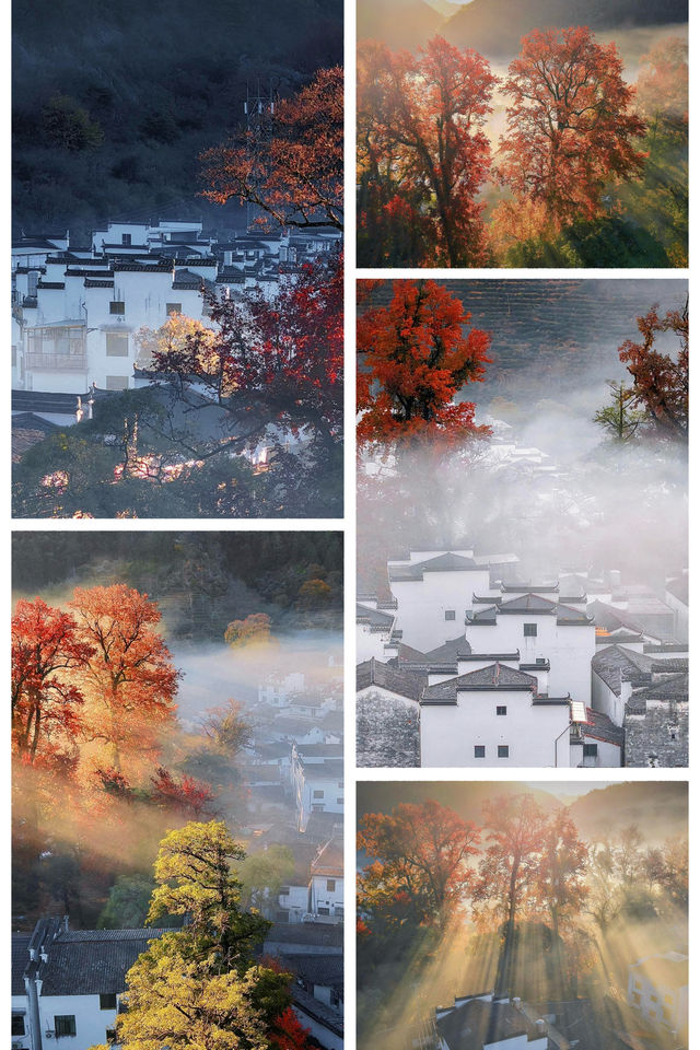 婺源石城秋日行攝全攻略｜沉浸於紅葉晨霧的水墨畫境