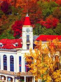 江浙滬的秋,是把調色盤潑向了人間