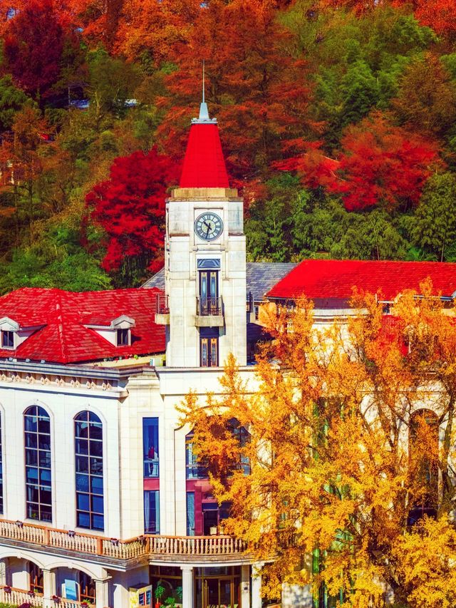 江浙滬的秋,是把調色盤潑向了人間 江浙滬的秋,是把調色盤潑向了人間