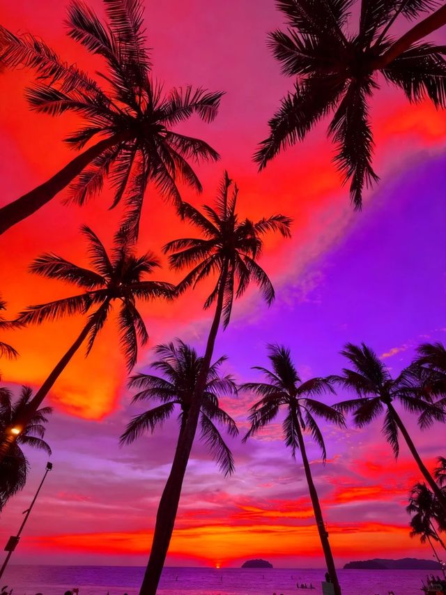 淡季的亞庇真係人間理想！！！