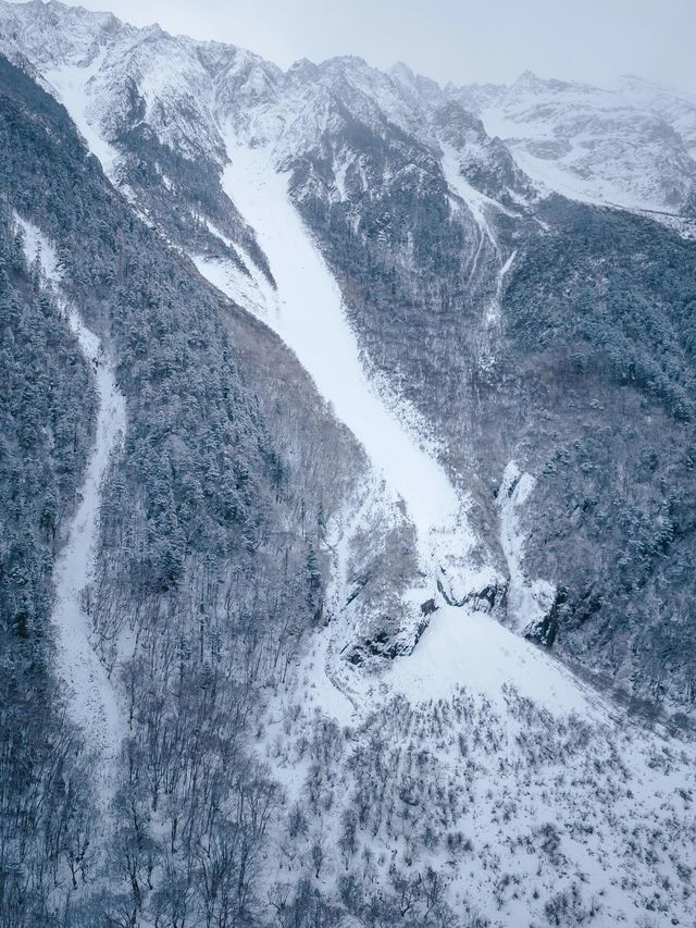 5天雨崩徒步全攻略!新手也能衝的神仙路線 5天雨崩徒步全攻略!新手也能衝的神仙路線
