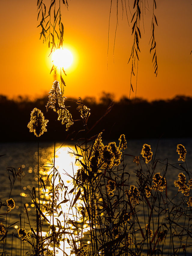 1204頤和園日出，西山橘紅像七彩丹霞