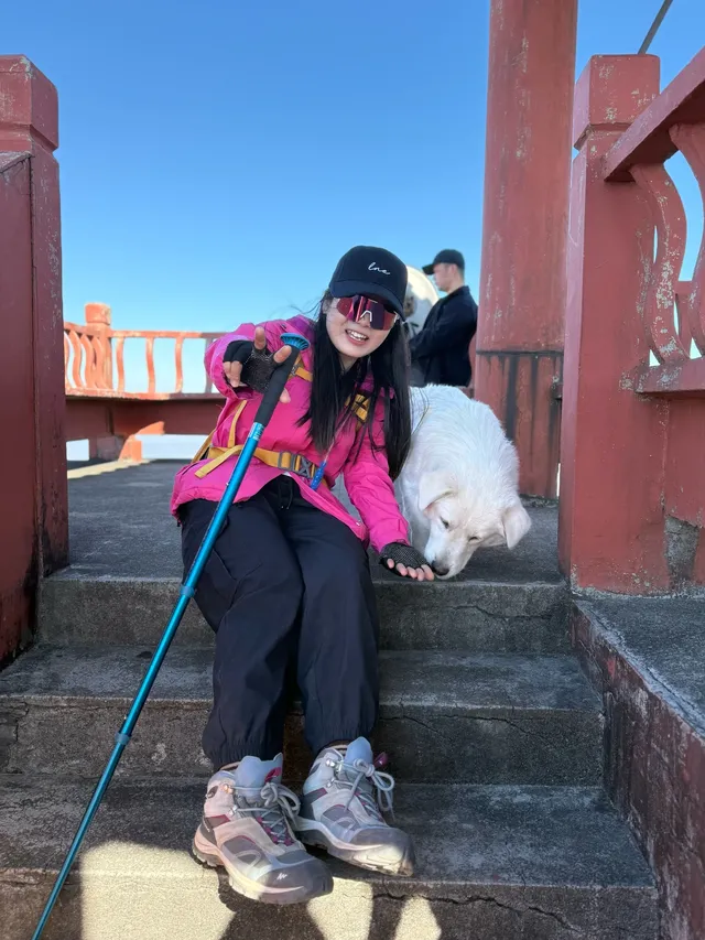 九華山偶遇的狗向導,超有靈性 九華山偶遇的狗向導,超有靈性