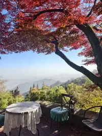 留住秋天的一百種方式之莫干山的楓葉