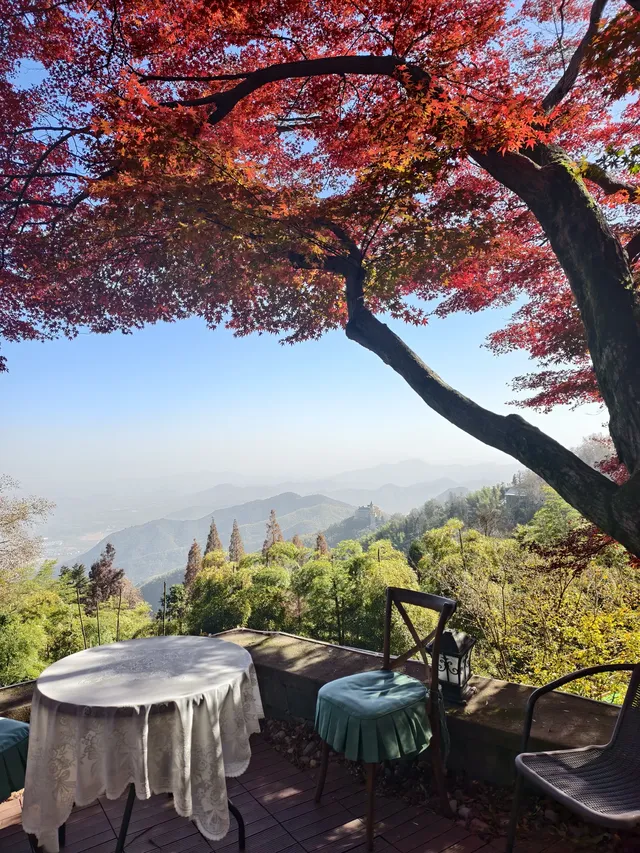 留住秋天的一百種方式之莫干山的楓葉