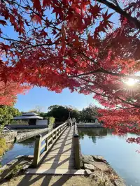 名古屋紅葉—白鳥庭園