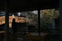 富士XT30直出! 胶片感冬日