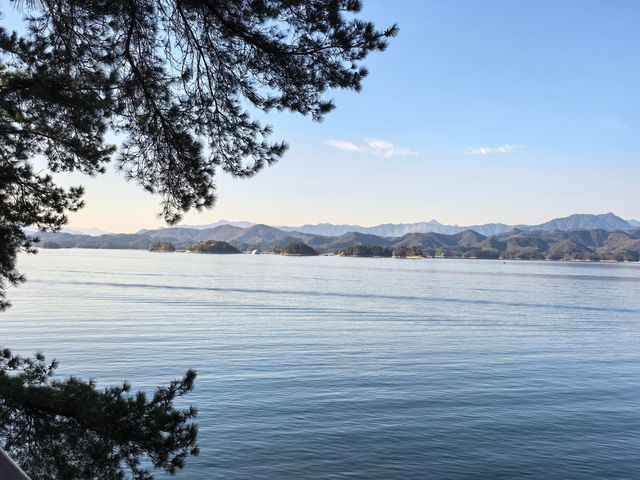 千島湖不登島不進景區直接酒店躺平…