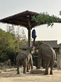 30歲不薅羊毛，更待何時！