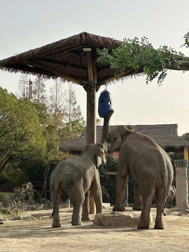 30歲不薅羊毛，更待何時！