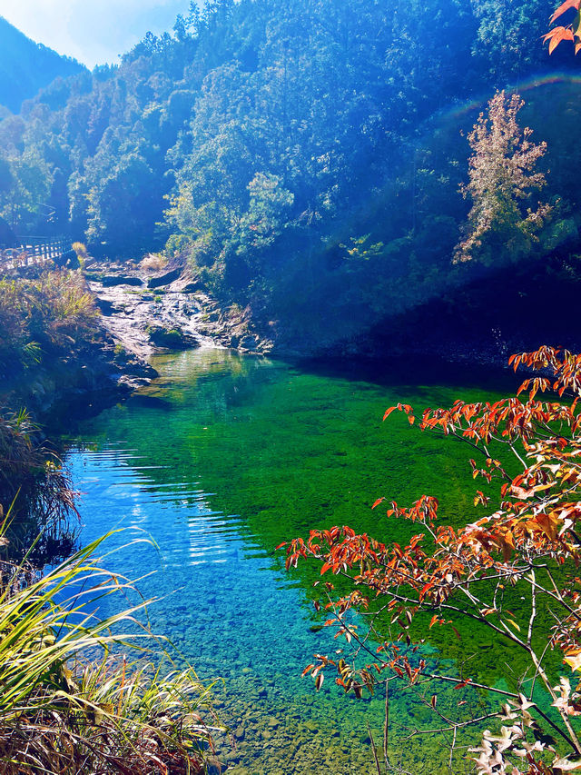 永嘉五星潭森林公園 永嘉五星潭森林公園