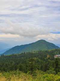 真的冬天樂山-成都之旅太治癒啦