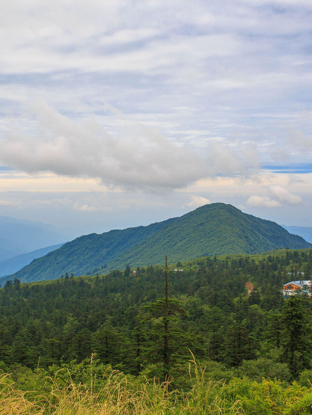 真的冬天樂山-成都之旅太治癒啦