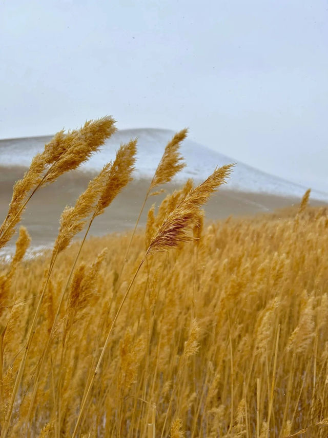 冬天的河西走廊是一場寂靜而盛大的浪漫 冬天的河西走廊是一場寂靜而盛大的浪漫