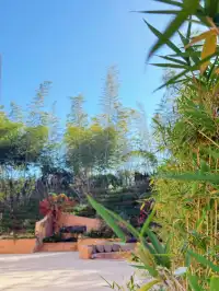 南山竹海一日遊|住進竹林裡的美學民宿