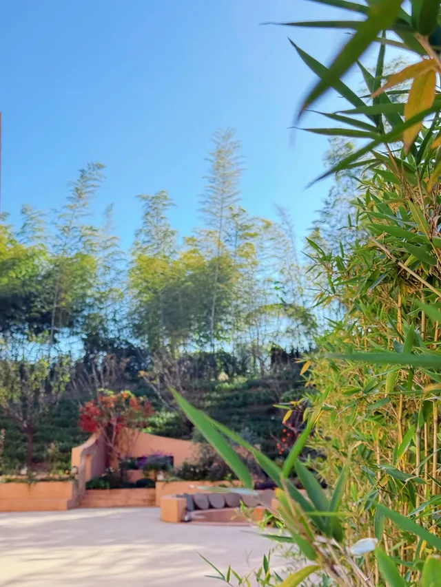 南山竹海一日遊|住進竹林裡的美學民宿 南山竹海一日遊|住進竹林裡的美學民宿