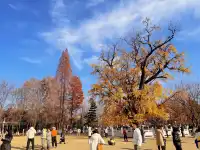 你是來拉屎的吧?!