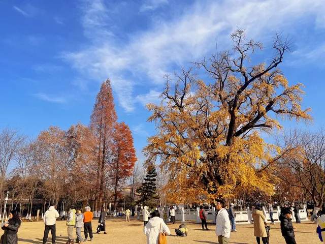 你是來拉屎的吧?! 你是來拉屎的吧?!