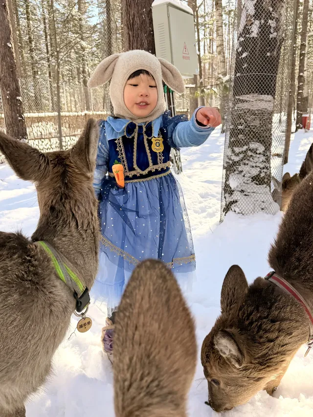 我宣佈長白山才是冬天親子遊的天花板