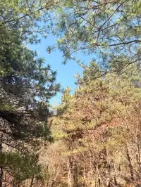 西安遛娃爬山推薦-藍田蓮花山人少不累