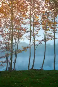 可以從晨霧中醒來的山居生活