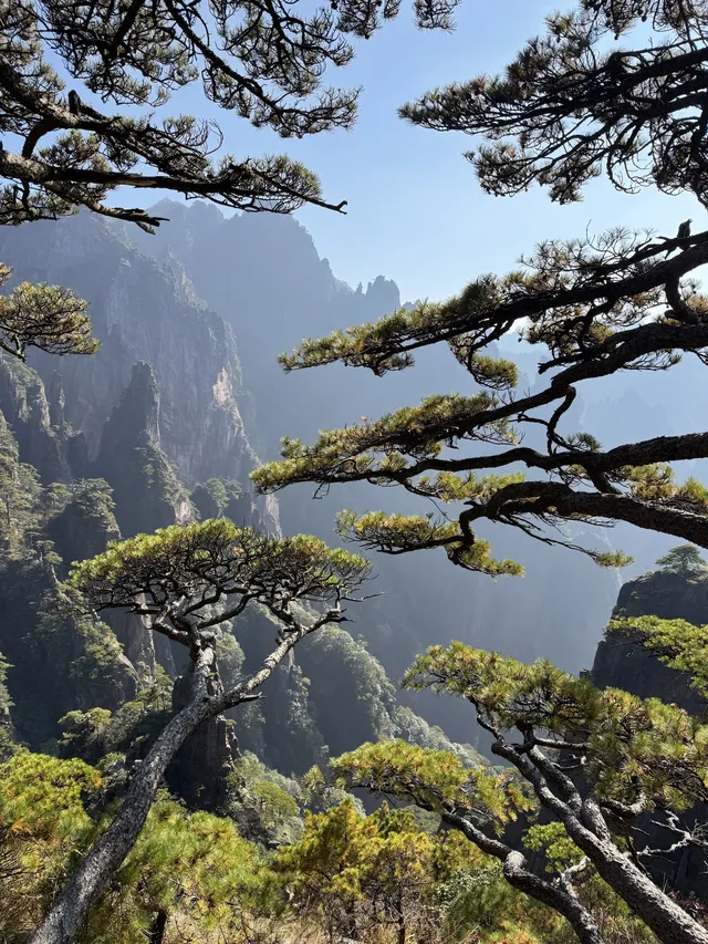 黃山(二) | 松與石 黃山(二) | 松與石