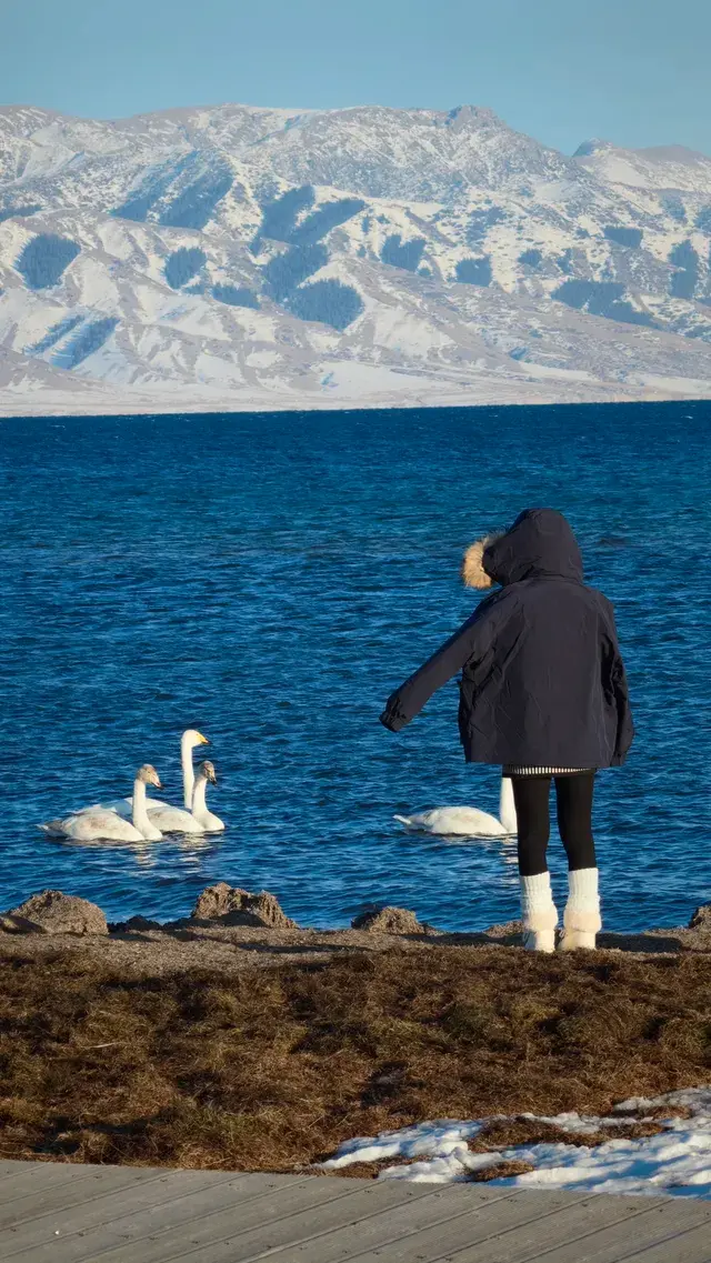 阿勒泰/賽里木湖旅遊完結
