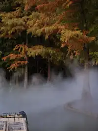 快!尚湖全紅了!現在!立刻!馬上!出發!