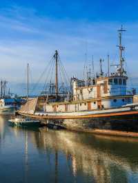 加拿大包車遊冬天限定美景全收