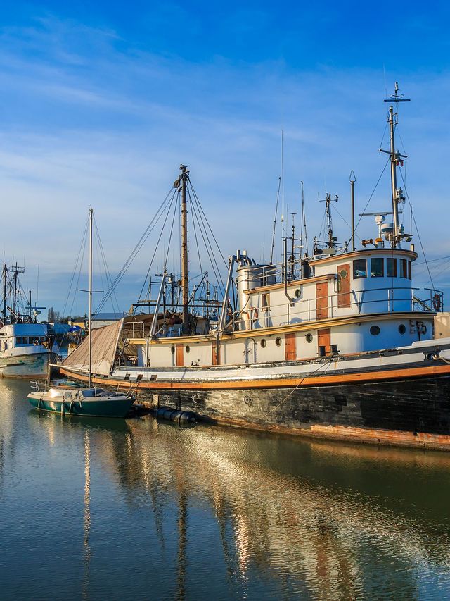 加拿大包車遊冬天限定美景全收 加拿大包車遊冬天限定美景全收
