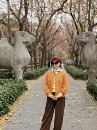 南京鐘山風景區漫遊