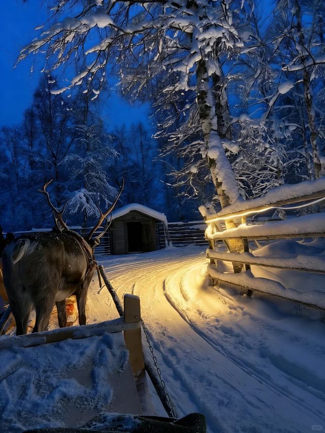 帶娃去了長白山,這雪景酒店比瑞士還震撼! 帶娃去了長白山,這雪景酒店比瑞士還震撼!