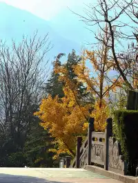 河南|嵩山少林寺