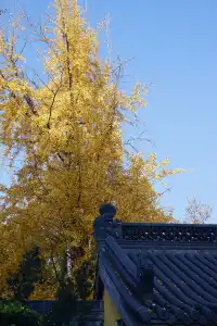 12.6 湖州秋景city walk路線