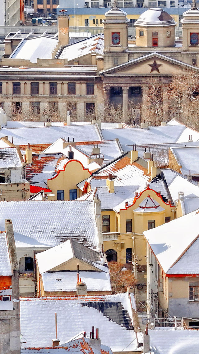 12.13下雪的青島瘋了