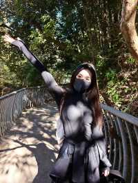 九峰村徒步 是誰說福州沒有秋天的