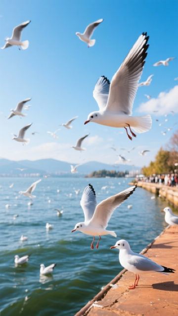 Kunming's Hidden Gems Travel Guide: Embark on a Dreamy Spring City Journey!