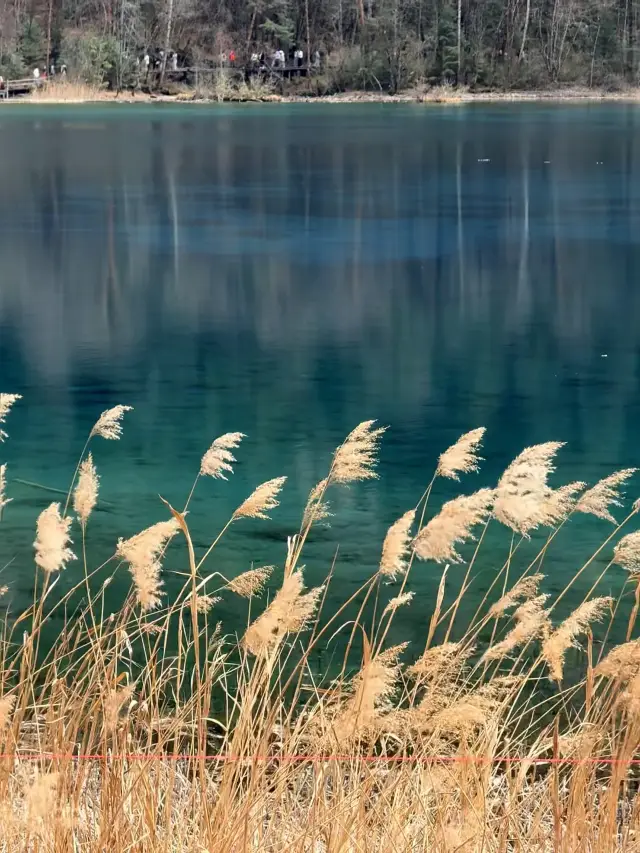 3.8 ผู้หญิงทุกคนที่จิ่วไจ้โกวเข้าฟรี~ 3 วัน 2 คืน