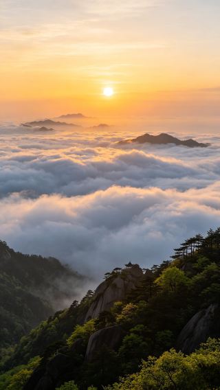 Late Spring Jiuhua Mountain Travel Guide | Enjoying Flowers and Sea of ​​Clouds in the Buddhist Kingdom – Even a Lazy Person Can Do It