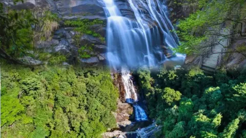 Liangyeshan Mountain: Forest Waterfall Secret Realm | Hiking Guide to the Southeast's Premier Waterfall Group — traveler post in Wuping